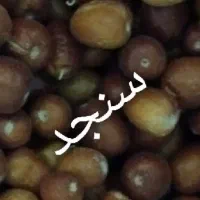 سویق چاقی تضمینی و گیاهی|خوردنی و آشامیدنی|بم, |دیوار
