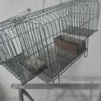 قفس تله|لوازم جانبی حیوانات|همدان, |دیوار