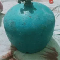 دو عدد شیر برنجی و یک لاکی