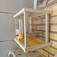 قفس پرنده|لوازم جانبی حیوانات|سمیرم, |دیوار