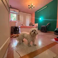 پانسیون خانگی|خدمات پیشه و مهارت|قم, دورشهر|دیوار