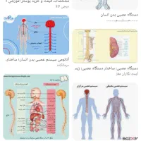 ماساژ درمانی