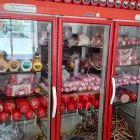 یخچال مغازه