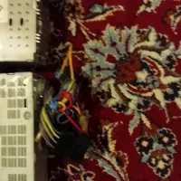 ضبط|صوتی و تصویری|تهران, مجیدیه|دیوار