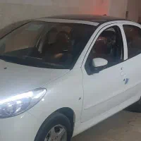 207 1403 صفر خشک