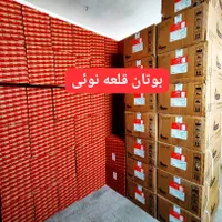 آبگرمکن دیواری بوتان تک و عمده