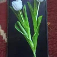 گوشی نوت 9|موبایل|سراوان, |دیوار