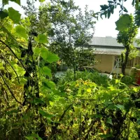 فروش ویلا مسکونی دارای سند تک برگ|فروش خانه و ویلا|رشت, حومه رشت|دیوار