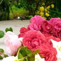 زمین بسیجیان فاز ۳