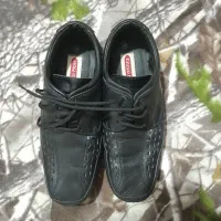 کفش چرم مردانه|کیف، کفش، کمربند|کازرون, |دیوار