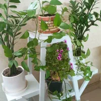 پایه گل pvc
