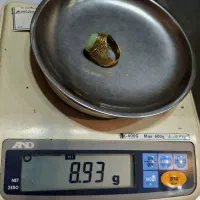 انگشتر با گوهر شب چراغ بدون مشابه