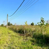 فرصت-ویژه-خرید-زمین-سنددار-قابل-ساخت-سندتکبرگ