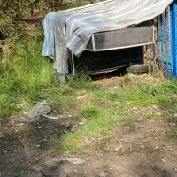 مزدا مدل ۷۶ موتوری عالی|خودرو سواری و وانت|رشت, لاکان|دیوار