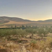 باغبانی و نگهبانی