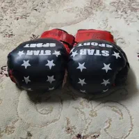 دستکش بوکس و کاپ