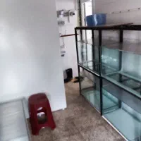 آکواریوم به همراه پایه و پمپ هوای مرکزی|ماهی|محمدیه-قزوین, |دیوار