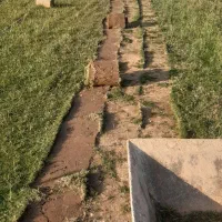 کاشت چمن طبیعی درجه یک با بهترین کیفیت