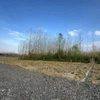 زمین ۳۰۰متری داخل طرح هادی روستا
