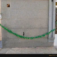 پر علم