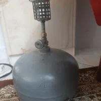 دو عدد پیک نیک سالم