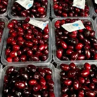 زغال اخته تازه درجه یک الموت