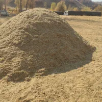 آلفسوزه|حیوانات مزرعه|مریوان, |دیوار