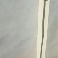 چاه ارت و میله ارت و تست و تحویل و همبندی الکتریکی|خدمات پیشه و مهارت|مشهد, سپاد|دیوار