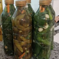 انواع ترشی های خوشمزه و بهداشتی|خوردنی و آشامیدنی|اسدآباد, |دیوار