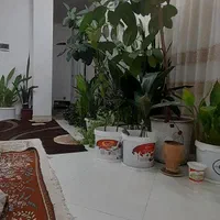 سوئیت اجاره ای ویلا روستای توریستی کمالوند|اجارهٔ کوتاهمدت آپارتمان و سوئیت|نهاوند, |دیوار