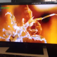 تلوزیون ال ای دی 40اینچ سامسونگ اسمارت الئن|تلویزیون و پروژکتور|میاندوآب, |دیوار