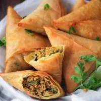 انواع سمبوسه و فینگر فود