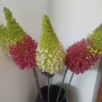 گل مصنوعی