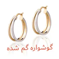 گوشواره گم شده