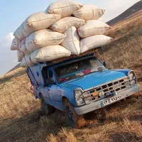 خریدار و فروشنده کاه