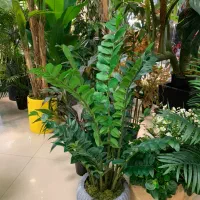 درخت مگنولیا و انواع درختان|گل مصنوعی|ری, دولت‌آباد|دیوار