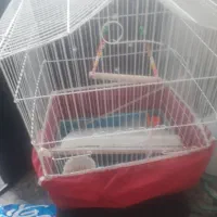 قفس پرنده|لوازم جانبی حیوانات|رشت, پاره بیجار|دیوار