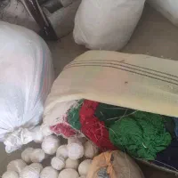 وسایل فرش بافی|لوازم خیاطی و بافتنی|ارشق, |دیوار