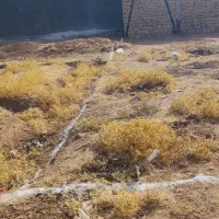 فروش زمین ۱۲۰ متری در شهرک نادی کوچه سوم|فروش زمین و ملک کلنگی|کوهدشت, |دیوار