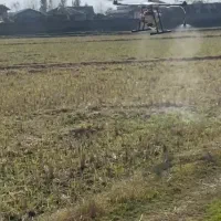 محلول پاشی با پهپاد سید سامان پورعباس