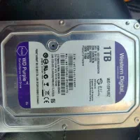 هارد ۱ترابایت اصلی وسترن (بنفش)