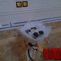 گل روبانی|گل مصنوعی|ایرانشهر, |دیوار