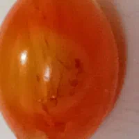 کهربا مهماندار وبو دار