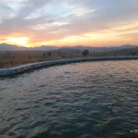 کارگری و نگهبانی