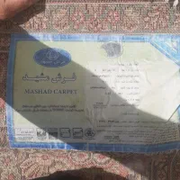فرش ۹ متری ۷۰۰ شانه فرش مشهد|فرش|قائن, |دیوار