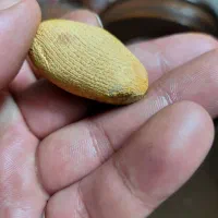 سنگ قدیمی معاوضه با قناری و انگشتر نقره ظرف مسی