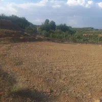 زمین با سهمیه آب پمپاژ و قنات|فروش دفتر صنعتی، کشاورزی، تجاری|سامان, |دیوار