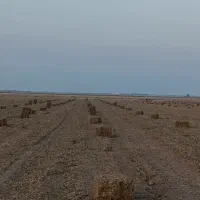 پرس بادام زمینی