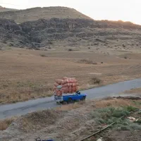فروش کاه|حیوانات مزرعه|دهدشت, |دیوار