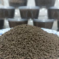 طعمه کپور قزل شیر